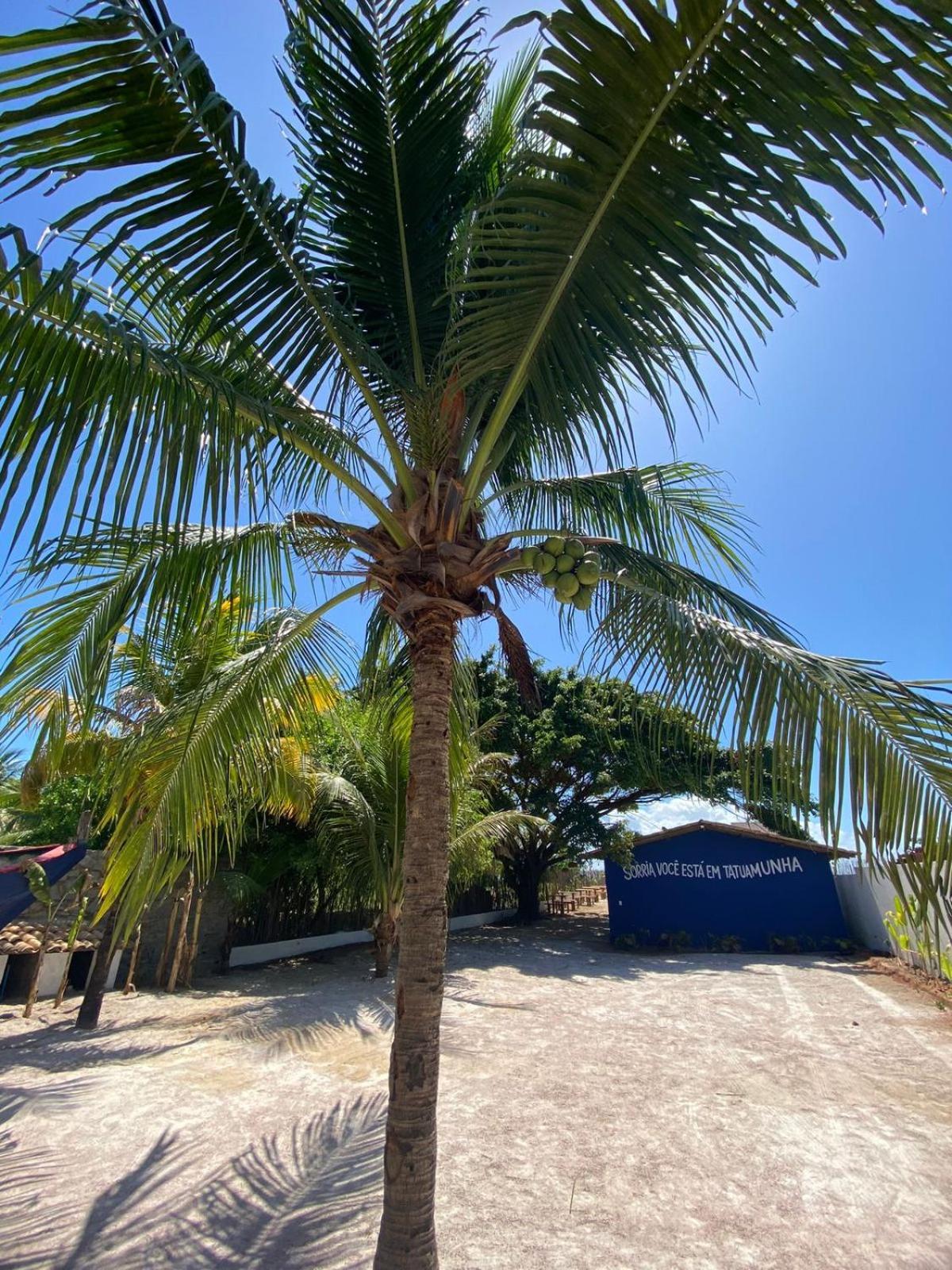 Beira Mar - Rota Dos Milagres - Tatuamunha 公寓 Porto de Pedras